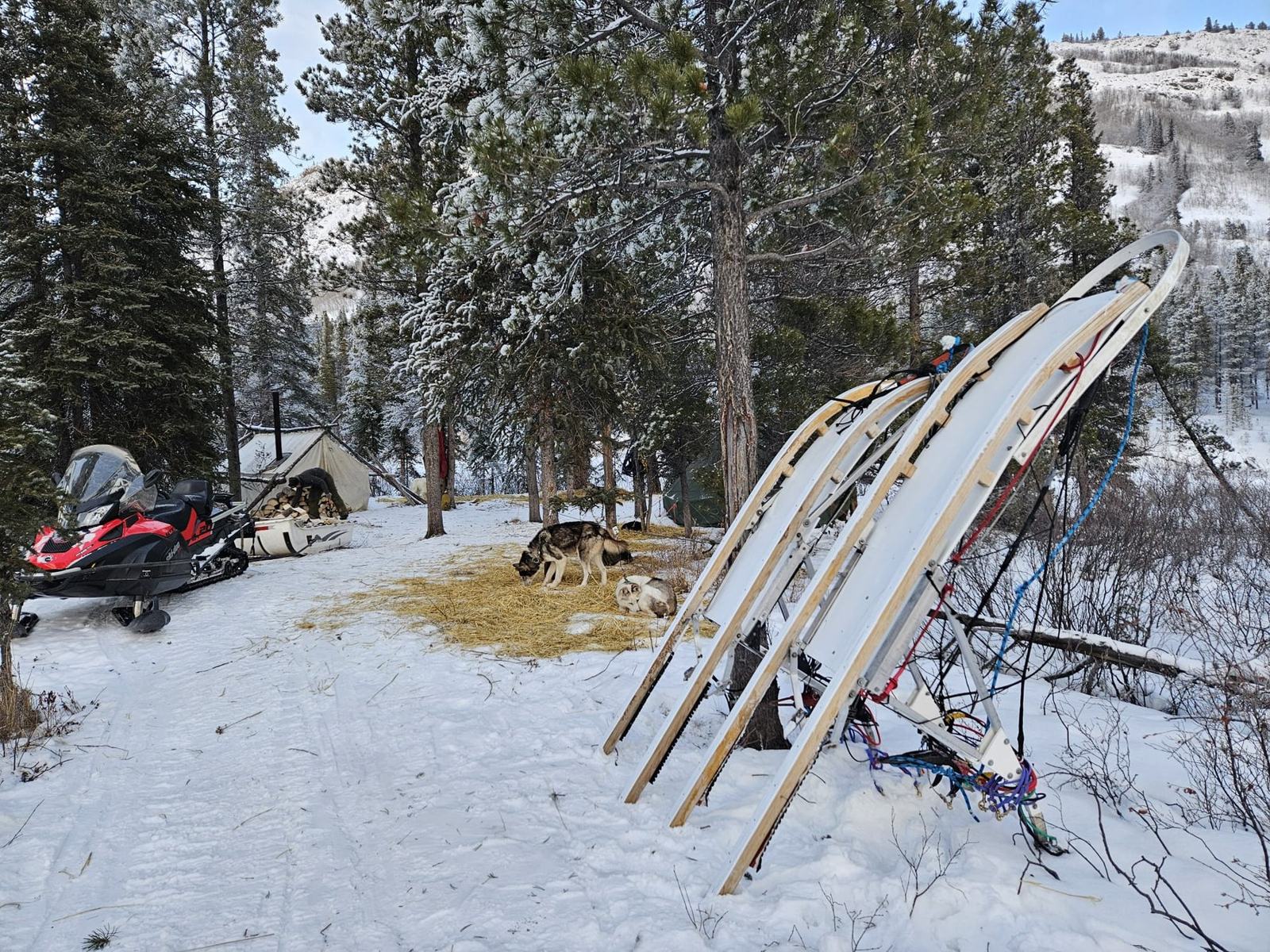 Wilderness camp with sleds, wall tent and snowmobile