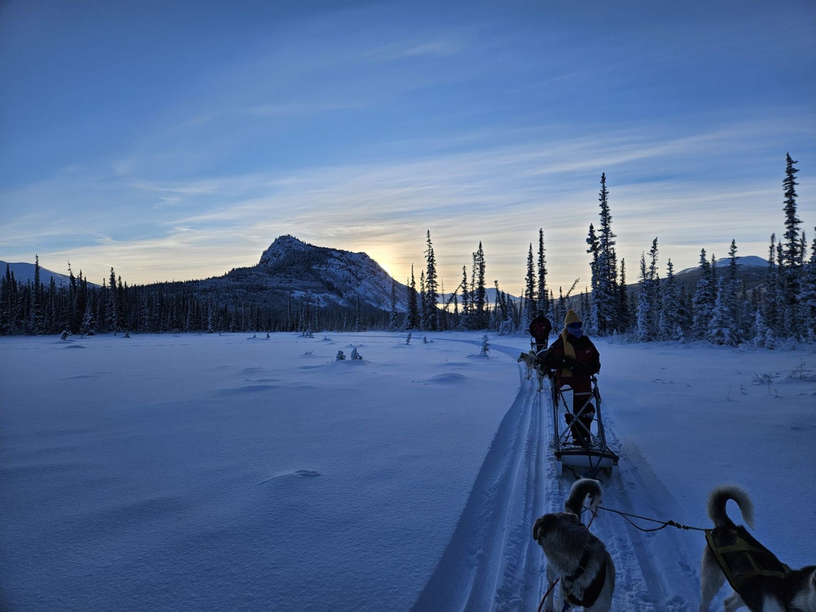 Dog team at dawn on a frozen lake, Southern Lakes