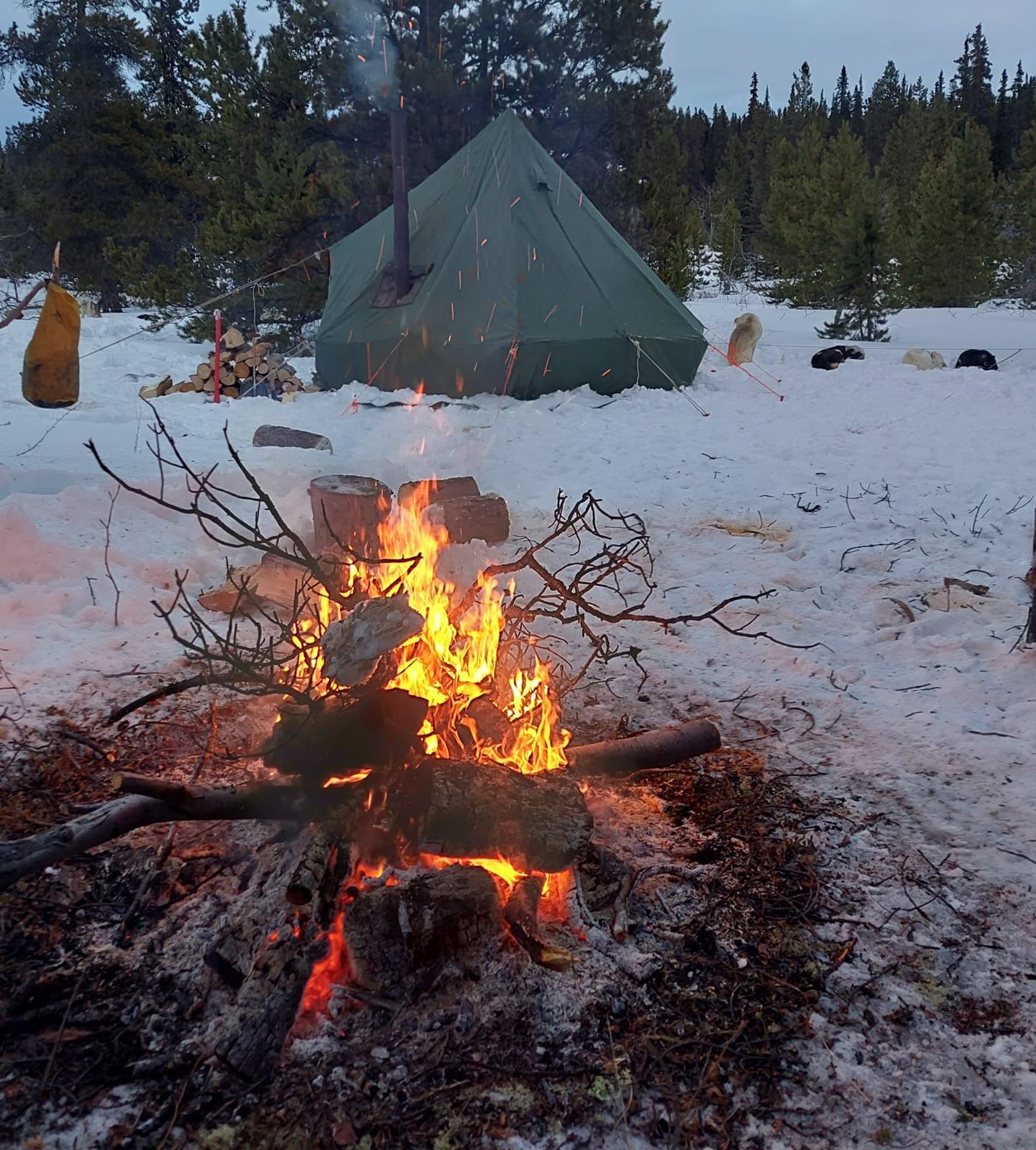 Campfire and heated tent at a wilderness camp